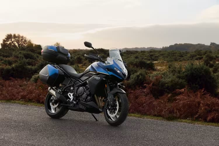 Tiger Sport 800 Tour