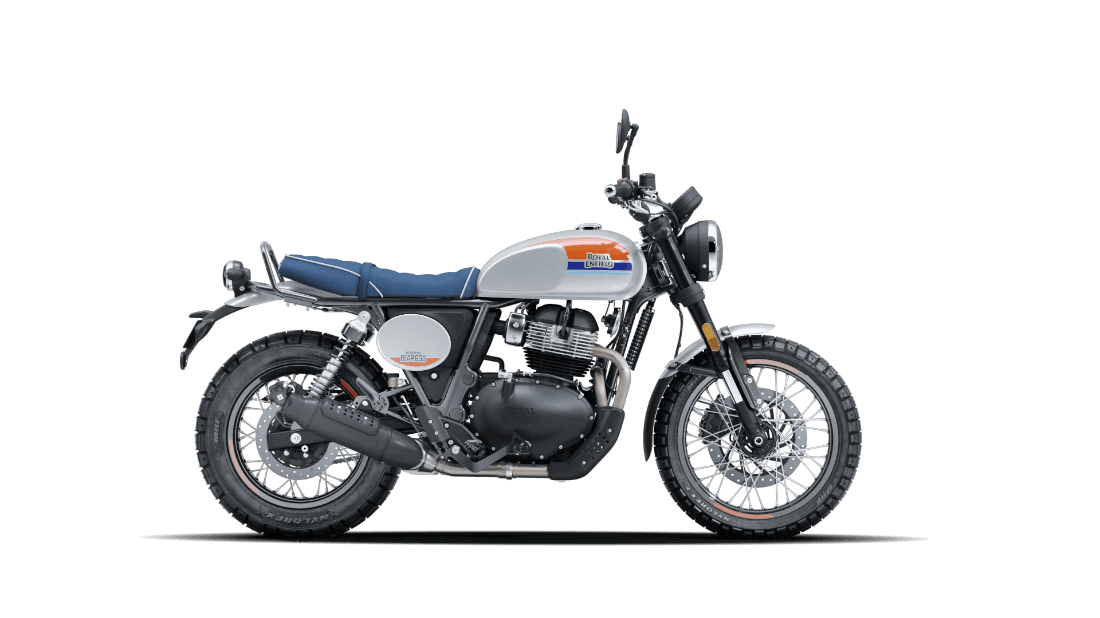Bear 650