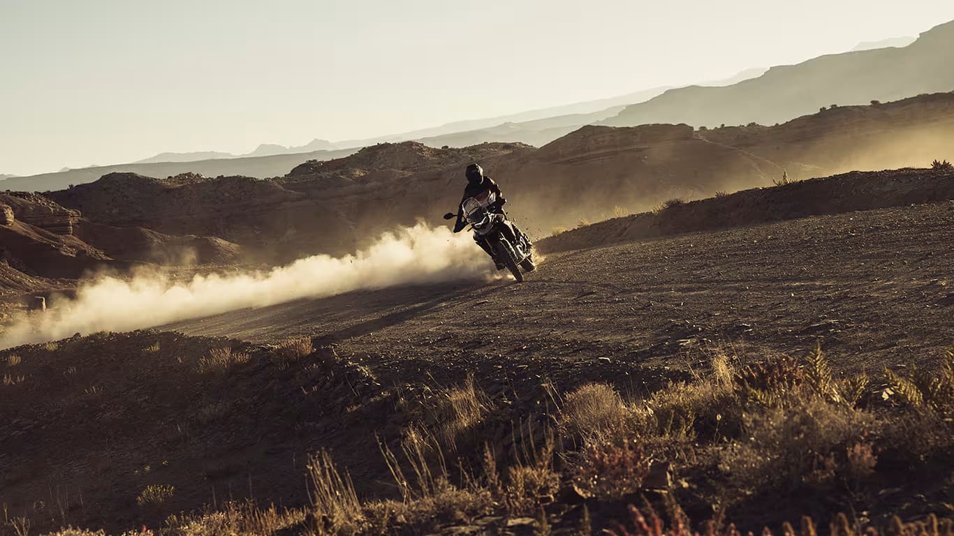 Tiger 900 Rally Pro