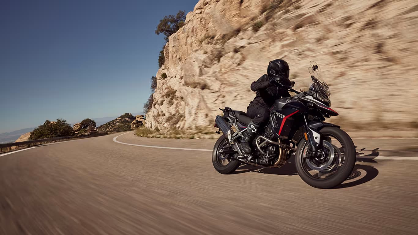 Tiger 900 GT Pro